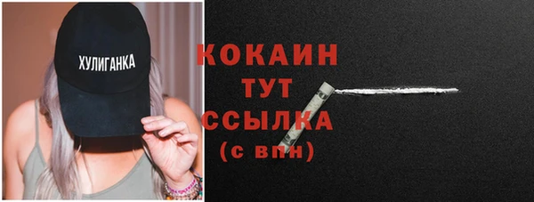 тгк Сатка