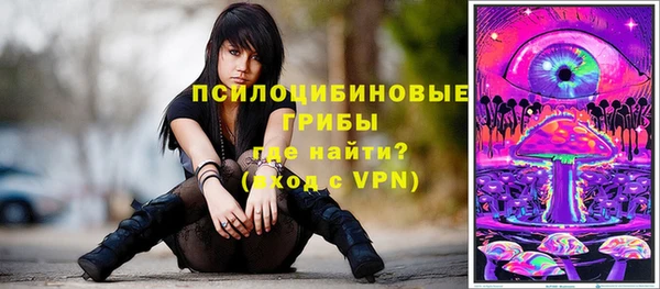 круглые Белокуриха
