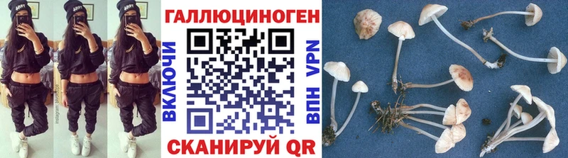 Псилоцибиновые грибы Psilocybine cubensis  Павловск 