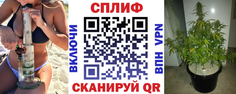 kraken сайт Павловск Каннабис план